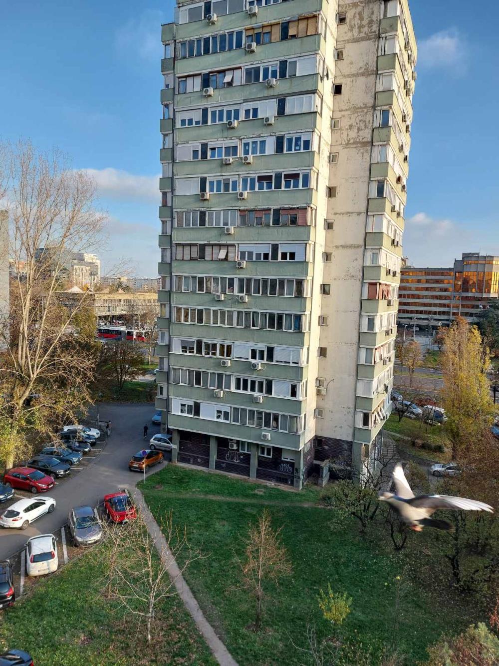 Opština Novi Beograd