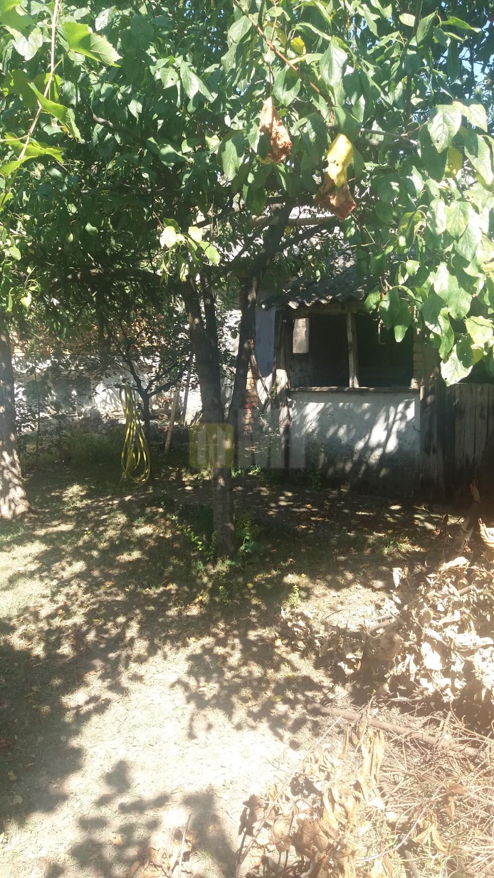 Surčin, kuća 540m+8a, 300.000 €