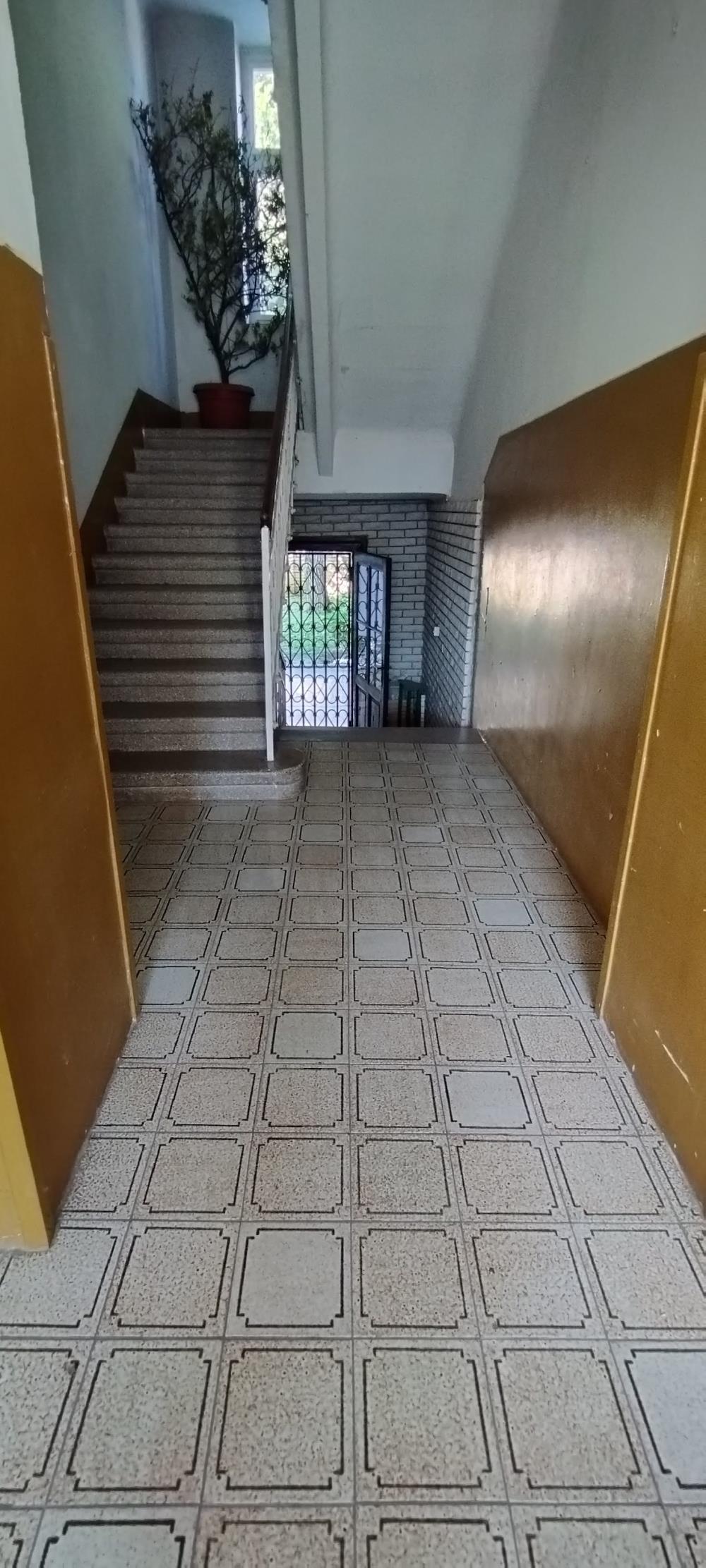 Zemun centar, Nemanjina, 110m2+42m2